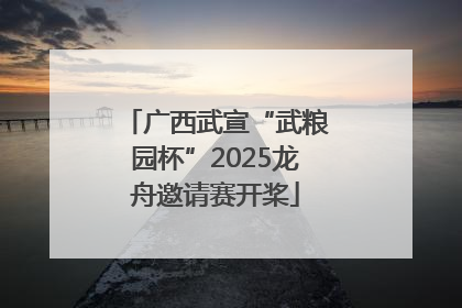 广西武宣“武粮园杯”2025龙舟邀请赛开桨