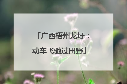 广西梧州龙圩：动车飞驰过田野