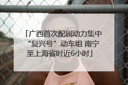 广西首次配属动力集中“复兴号”动车组 南宁至上海省时近6小时
