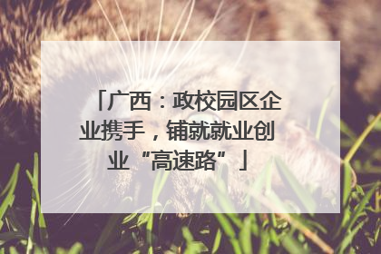 广西：政校园区企业携手，铺就就业创业“高速路”