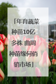 年育蔬菜种苗10亿多株 曲周种苗缘何俏销市场