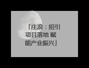 庄浪：招引项目落地 赋能产业振兴