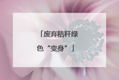 废弃秸秆绿色“变身”