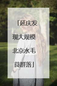 延庆发现大规模北京水毛茛群落