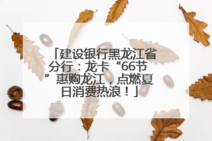 建设银行黑龙江省分行：龙卡“66节”惠购龙江，点燃夏日消费热浪！