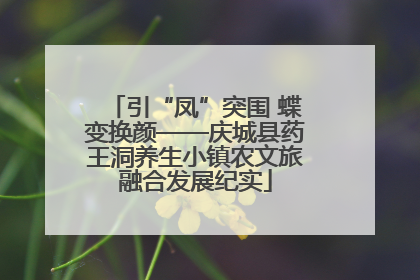 引“凤”突围 蝶变换颜——庆城县药王洞养生小镇农文旅融合发展纪实