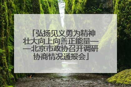 弘扬见义勇为精神 壮大向上向善正能量——北京市政协召开调研协商情况通报会