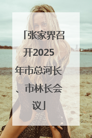 张家界召开2025年市总河长、市林长会议