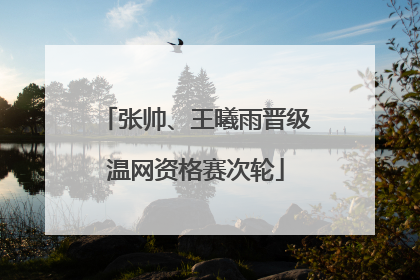 张帅、王曦雨晋级温网资格赛次轮