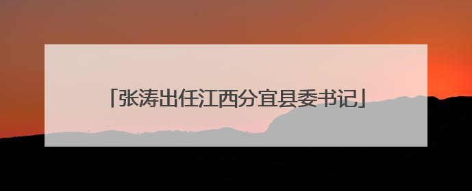 张涛出任江西分宜县委书记