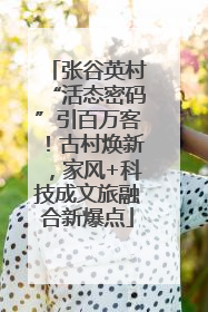 张谷英村“活态密码”引百万客！古村焕新，家风+科技成文旅融合新爆点