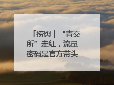 捞舆｜“青交所”走红，流量密码是官方带头“玩起来”