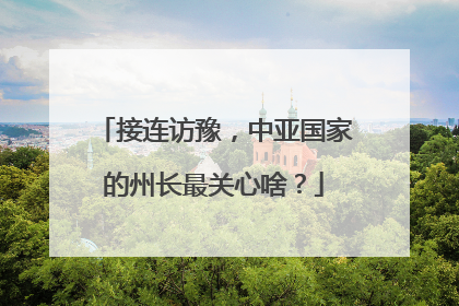 接连访豫，中亚国家的州长最关心啥？
