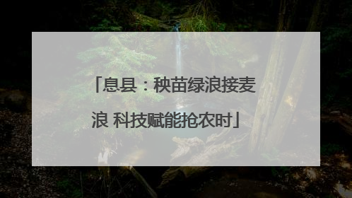 息县：秧苗绿浪接麦浪 科技赋能抢农时