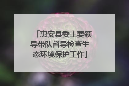惠安县委主要领导带队督导检查生态环境保护工作