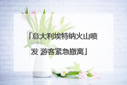 意大利埃特纳火山喷发 游客紧急撤离