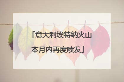 意大利埃特纳火山本月内再度喷发