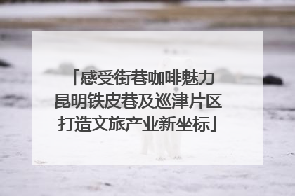 感受街巷咖啡魅力 昆明铁皮巷及巡津片区打造文旅产业新坐标