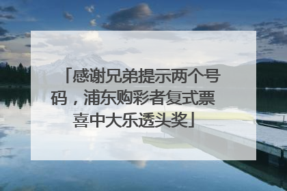 感谢兄弟提示两个号码，浦东购彩者复式票喜中大乐透头奖