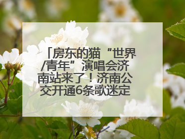 房东的猫“世界/青年”演唱会济南站来了！济南公交开通6条歌迷定制专线