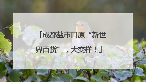 成都盐市口原“新世界百货”，大变样！