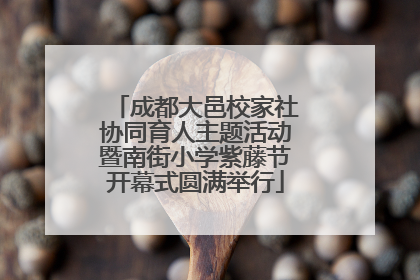 成都大邑校家社协同育人主题活动暨南街小学紫藤节开幕式圆满举行