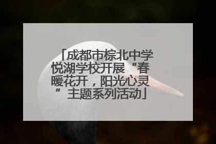 成都市棕北中学悦湖学校开展“春暖花开，阳光心灵”主题系列活动