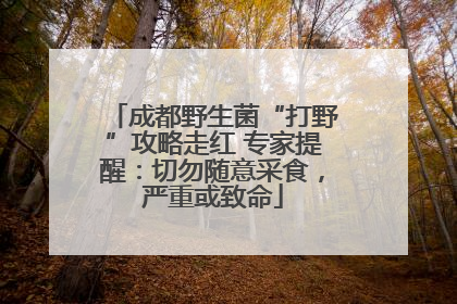 成都野生菌“打野”攻略走红 专家提醒：切勿随意采食，严重或致命