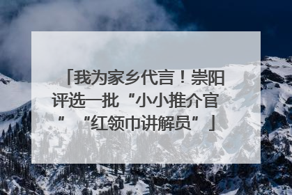 我为家乡代言！崇阳评选一批“小小推介官”“红领巾讲解员”