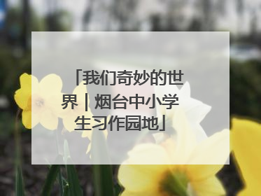 我们奇妙的世界｜烟台中小学生习作园地