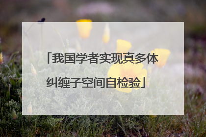 我国学者实现真多体纠缠子空间自检验