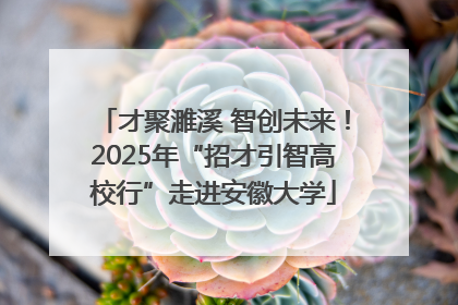 才聚濉溪 智创未来！2025年“招才引智高校行”走进安徽大学