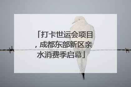 打卡世运会项目，成都东部新区亲水消费季启幕