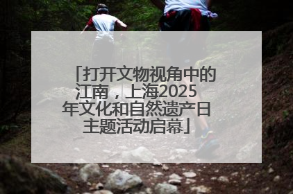 打开文物视角中的江南，上海2025年文化和自然遗产日主题活动启幕
