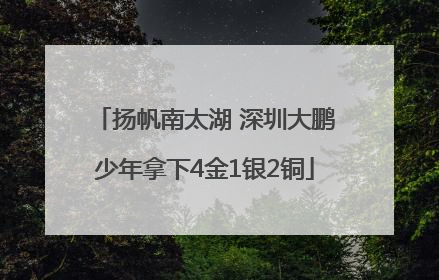 扬帆南太湖 深圳大鹏少年拿下4金1银2铜