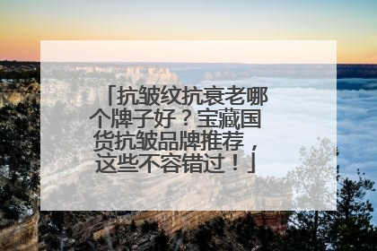抗皱纹抗衰老哪个牌子好？宝藏国货抗皱品牌推荐，这些不容错过！