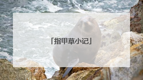 指甲草小记