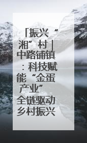 振兴“湘”村｜中路铺镇：科技赋能“金蛋产业” 全链驱动乡村振兴