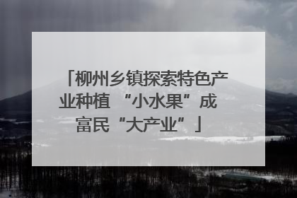 柳州乡镇探索特色产业种植 “小水果”成富民“大产业”