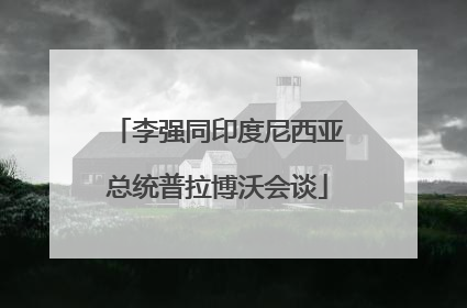 李强同印度尼西亚总统普拉博沃会谈