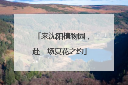 来沈阳植物园，赴一场夏花之约