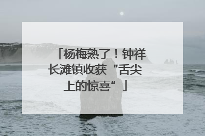 杨梅熟了！钟祥长滩镇收获“舌尖上的惊喜”