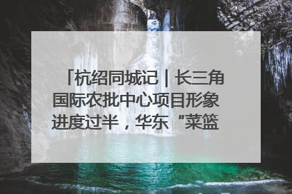 杭绍同城记｜长三角国际农批中心项目形象进度过半，华东“菜篮子”建设加码提速！