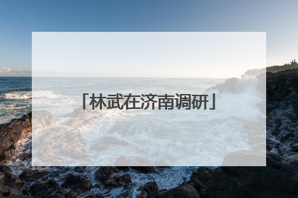 林武在济南调研