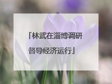 林武在淄博调研督导经济运行