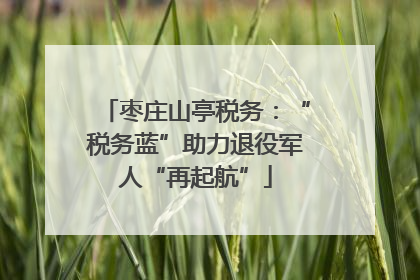 枣庄山亭税务：“税务蓝”助力退役军人“再起航”