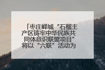 枣庄峄城“石榴主产区铸牢中华民族共同体意识联盟项目”将以“六联”活动为抓手深化品牌建设