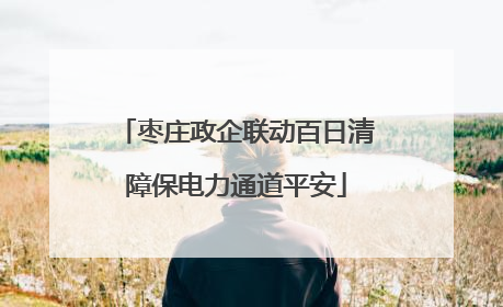 枣庄政企联动百日清障保电力通道平安
