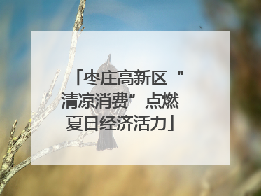 枣庄高新区“清凉消费”点燃夏日经济活力