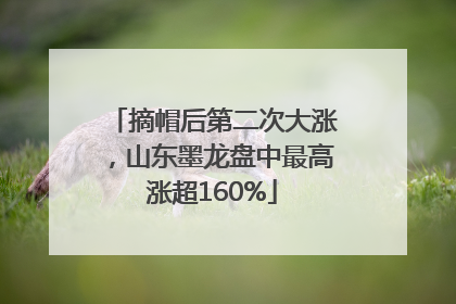 摘帽后第二次大涨，山东墨龙盘中最高涨超160%